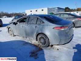 Toyota Corolla 2020 1