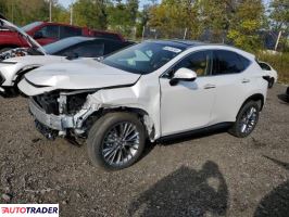 Lexus NX 2025 2