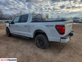 Ford Pozostałe 2024 2