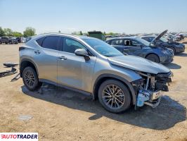 Lexus NX 2025 2