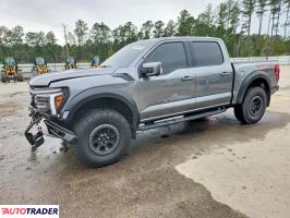 Ford Pozostałe 2024 3