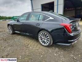 Cadillac Pozostałe 2020 3