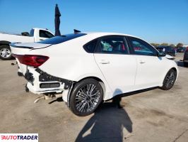 Kia Pozostałe 2024 2