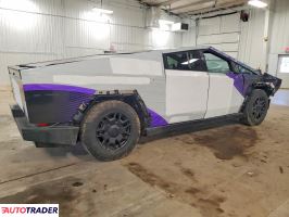 Tesla Pozostałe 2024