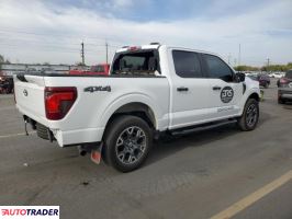 Ford Pozostałe 2024 2