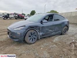 Tesla Model Y 2025