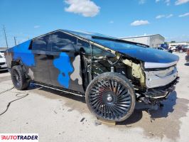 Tesla Pozostałe 2024
