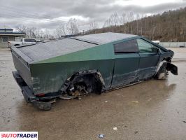 Tesla Pozostałe 2024