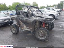 Polaris Pozostałe 2021
