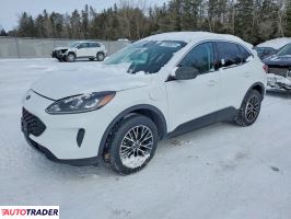 Ford Escape - zobacz ofertę