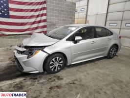 Toyota Corolla 2020 1