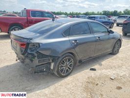 Kia Pozostałe 2024 2