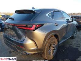 Lexus NX 2024 2