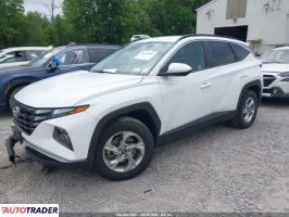Hyundai Tucson 2024 2