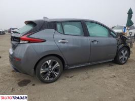 Nissan Leaf 2019 Nissan Leaf 2019