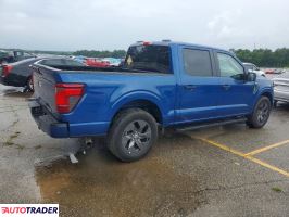 Ford Pozostałe 2025 2