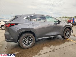 Lexus NX 2022 2