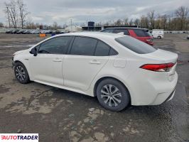 Toyota Corolla 2020 1