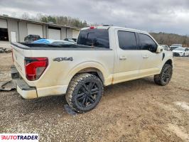 Ford Pozostałe 2024 5