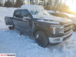 Ford Pozostałe 2024 5