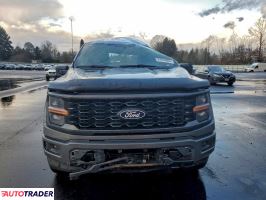 Ford Pozostałe 2024 2