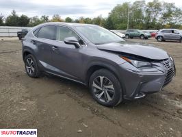 Lexus NX 2021 2