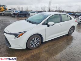 Toyota Corolla 2024 1