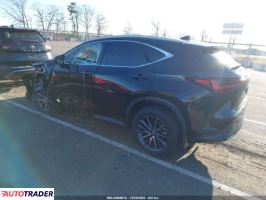 Lexus NX 2024 2