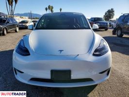 Tesla Model Y 2025