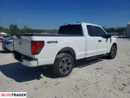 Ford Pozostałe 2024 2