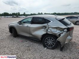 Lexus NX 2025 2