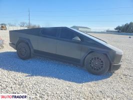 Tesla Pozostałe 2024