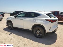 Lexus NX 2022 2 Lexus NX 2022 2