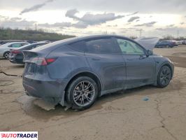 Tesla Model Y 2025