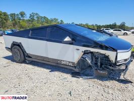 Tesla Pozostałe 2024