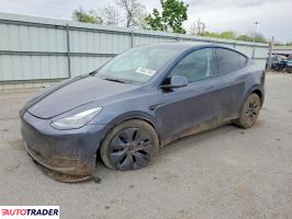Tesla Model Y 2025