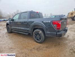 Ford Pozostałe 2024 3