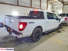 Ford Pozostałe 2024 3