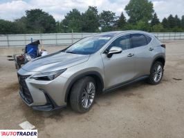 Lexus NX 2023 2 Lexus NX 2023 2
