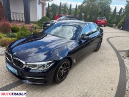 BMW 530 2019 3.0 265 KM BMW 530 2019 3.0 265 KM