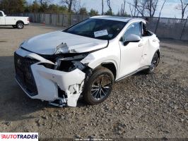 Lexus NX 2025 2