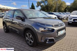 Citroen C4 Cactus 2019 1.5 120 KM