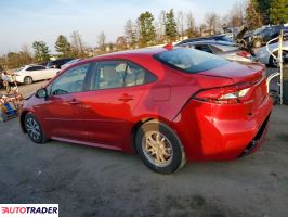 Toyota Corolla 2020 1