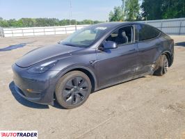 Tesla Model Y 2025