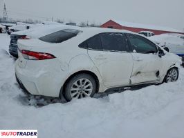 Toyota Corolla 2020 2