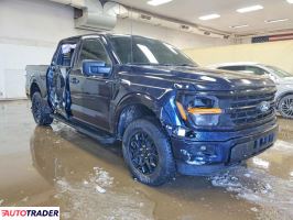 Ford Pozostałe 2024 2