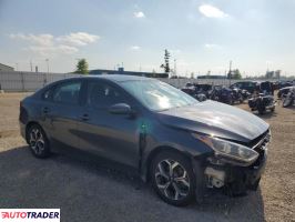 Kia Pozostałe 2019 2 Kia Pozostałe 2019 2