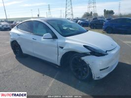 Tesla Model Y 2021 Tesla Model Y 2021