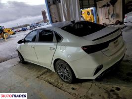 Kia Pozostałe 2024 2