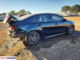 Kia Pozostałe 2024 2